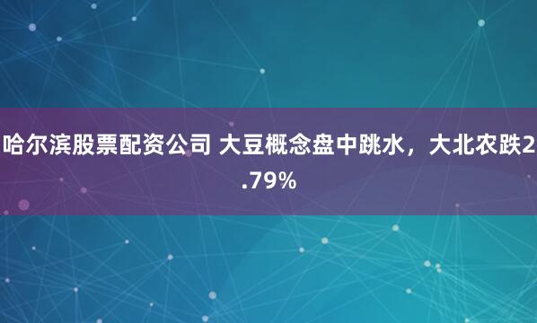 哈尔滨股票配资公司 大豆概念盘中跳水，大北农跌2.79%
