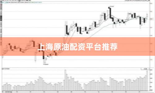 上海原油配资平台推荐